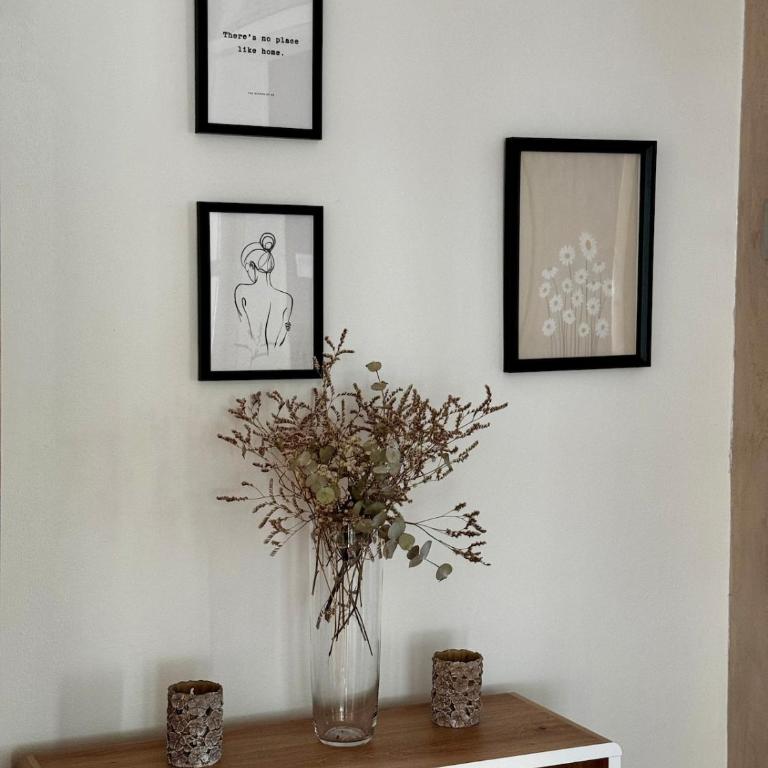 Mostar Zen Apartment - Apartman sa 1 Spavaćom Sobom - 21