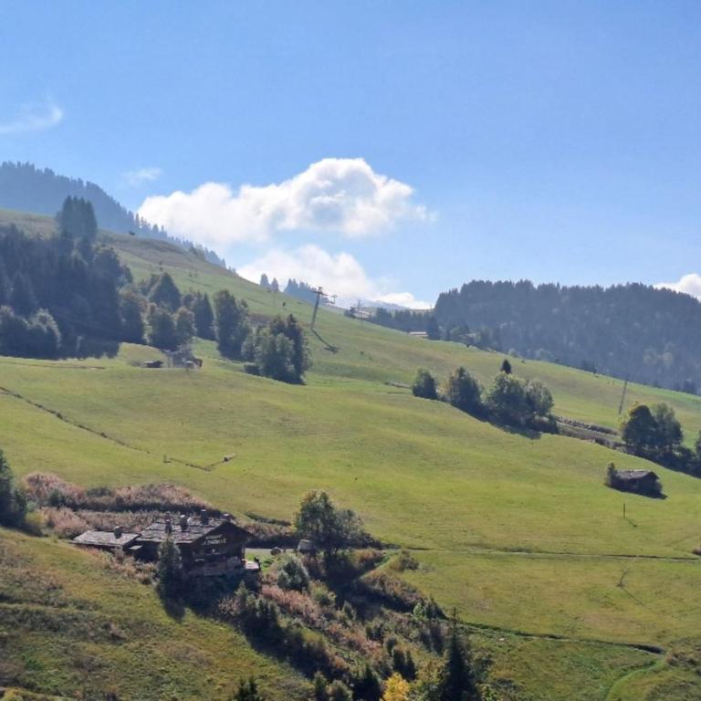 4-star 6-person apartment Chinaillon mountain view - Appartamento - 17