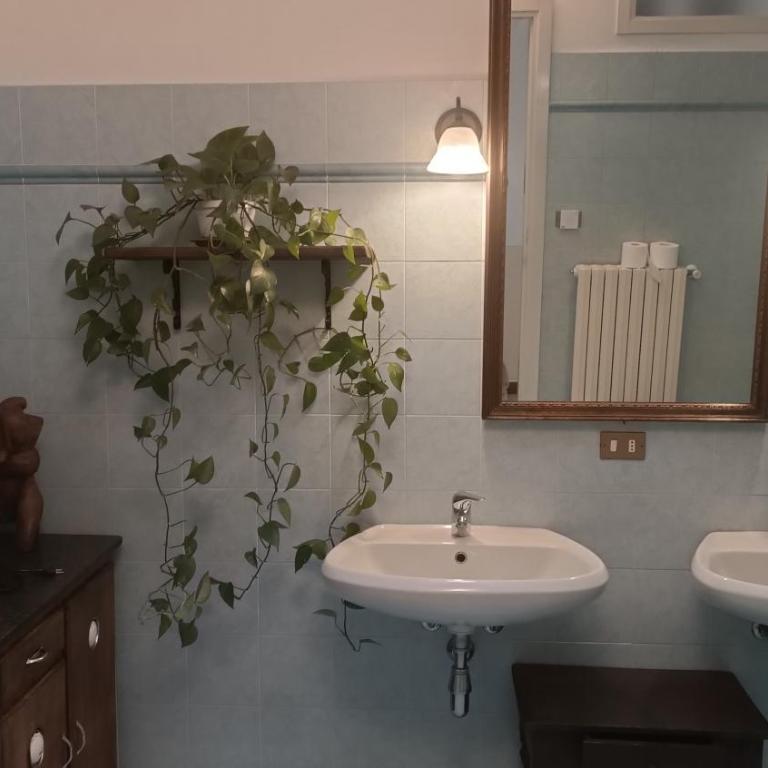 Oasi Panoramica Suite - Appartamento con Vista Montagna - 19