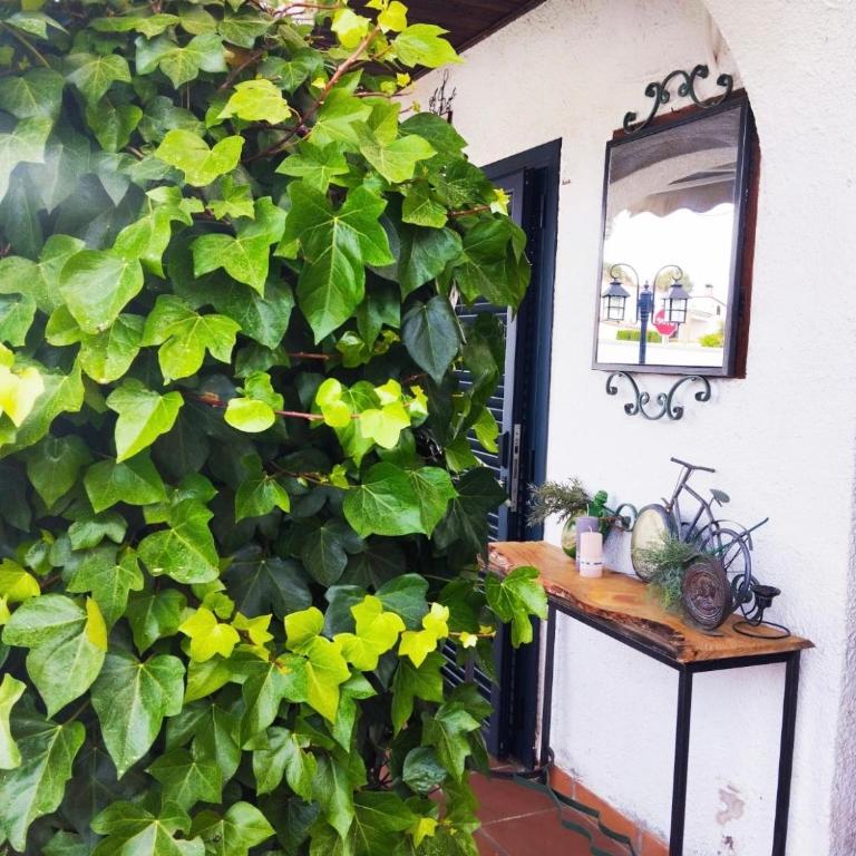 Villa marinera - Villa de 2 dormitorios - 19
