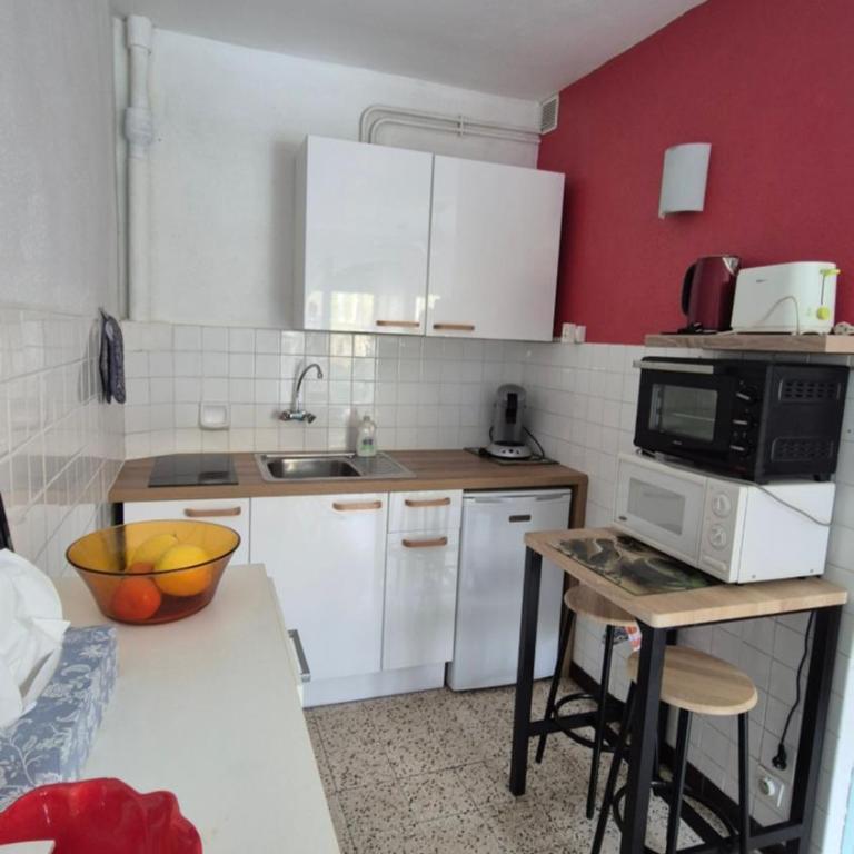 STUDIO au PIED DES THERMES - Appartement 1 Chambre - 5