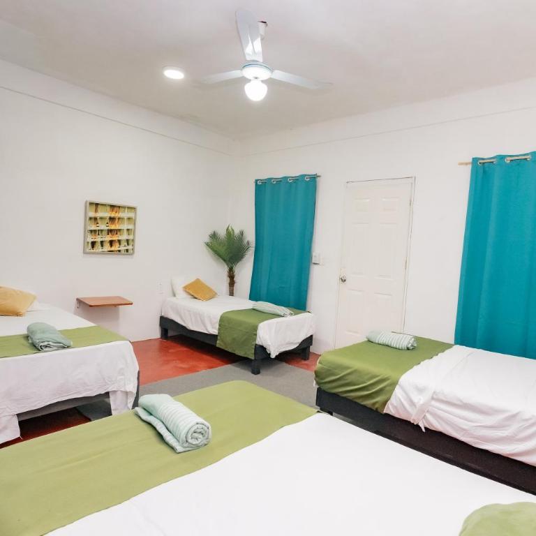 Casa Shalom Green - Superior Family Room - 3