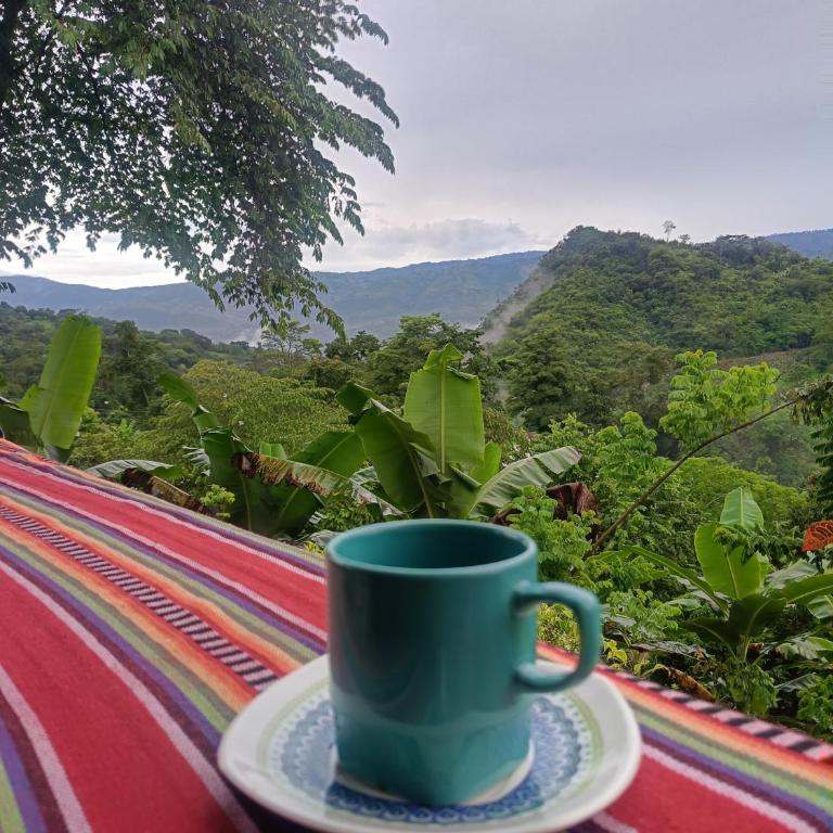 Capibara-Glamping Cabaña - One-Bedroom Apartment - 2