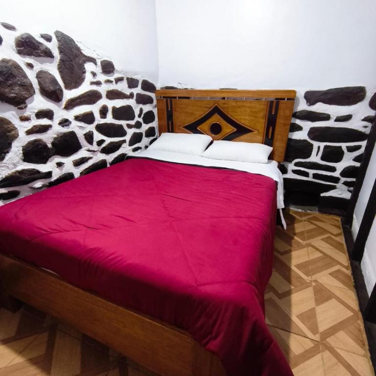 aini hostal ollantaytambo - Habitación Doble - 2