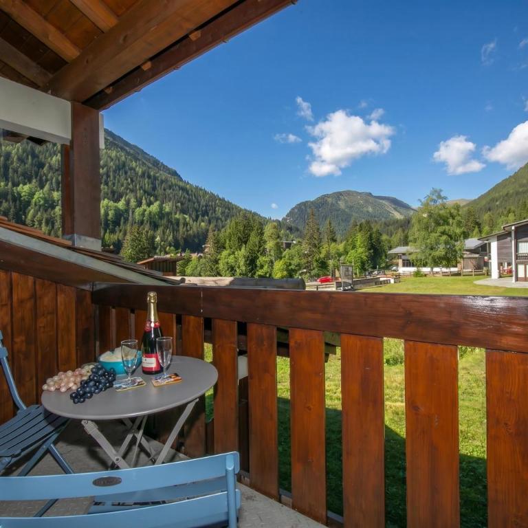 Résidence La Verte 27 ski in/ski out - Happy Rentals - Apartamento de 2 dormitorios - 1