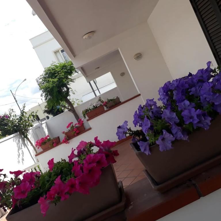 Villetta da Mari - Two-Bedroom Apartment - 1