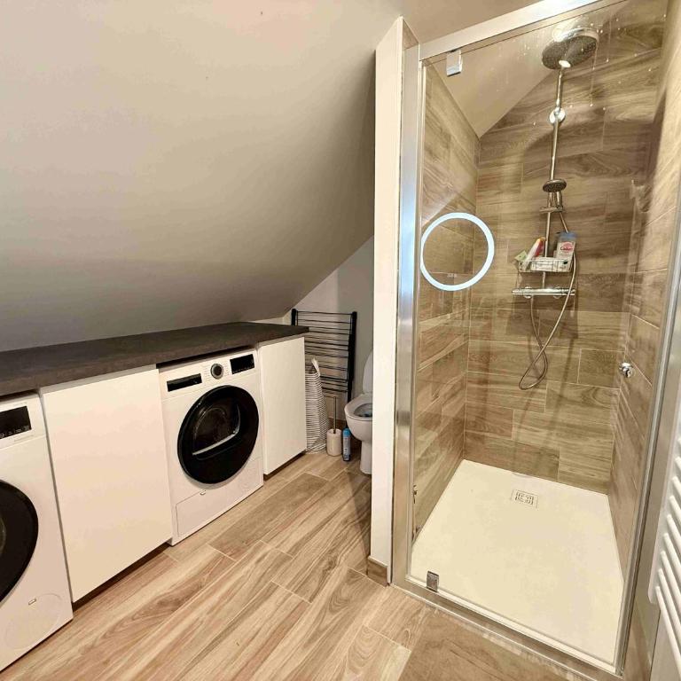 Beau duplex lumineux en plein centre-ville - Apartment - 13