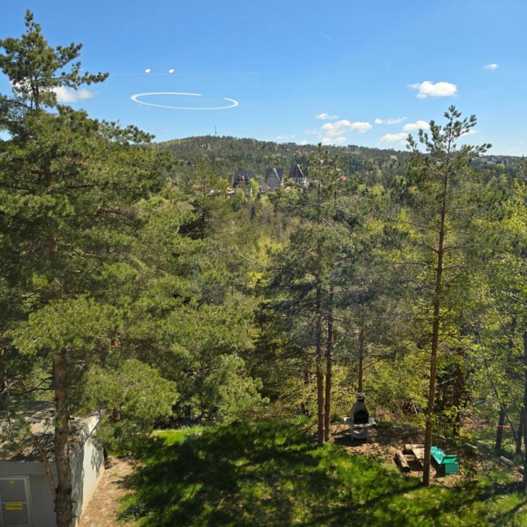 Lux apartman Mali Golubac - Apartman sa 1 Spavaćom Sobom - 6
