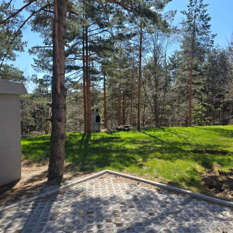 Lux apartman Mali Golubac - Apartman sa 1 Spavaćom Sobom - 7