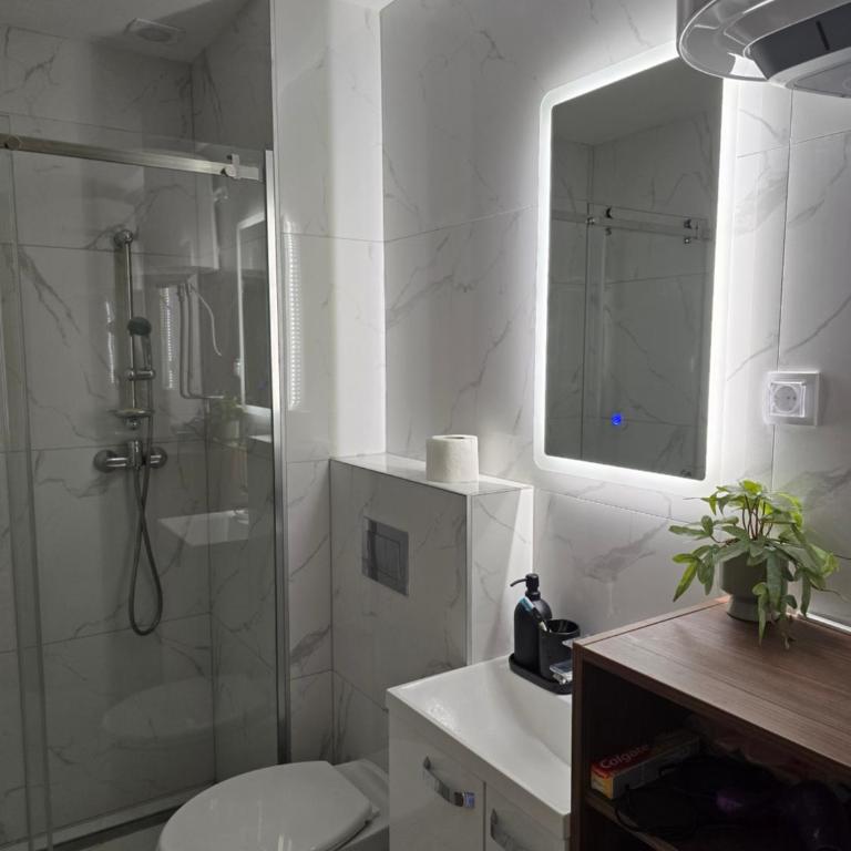 Lux apartman Mali Golubac - Apartman sa 1 Spavaćom Sobom - 5