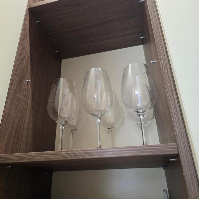 Lux apartman Mali Golubac - Apartman sa 1 Spavaćom Sobom - 11