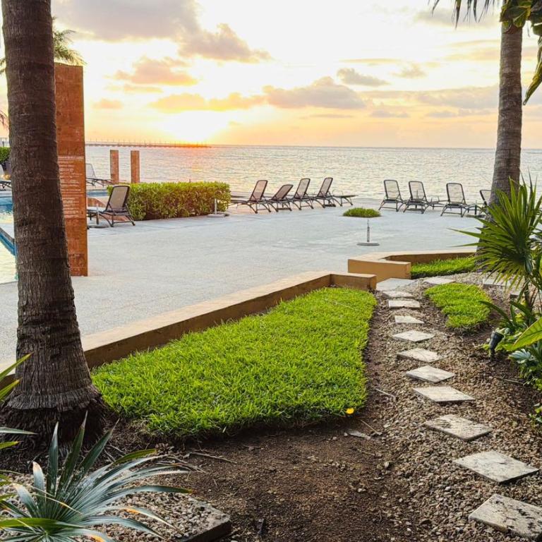 Oceanfront Condo a Block Off 5th in Heart of Playa - Apartment - 20