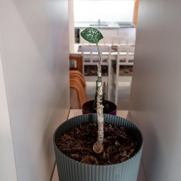 Amplio y cómodo Monoambiente - Apartamento de 1 dormitorio - 9
