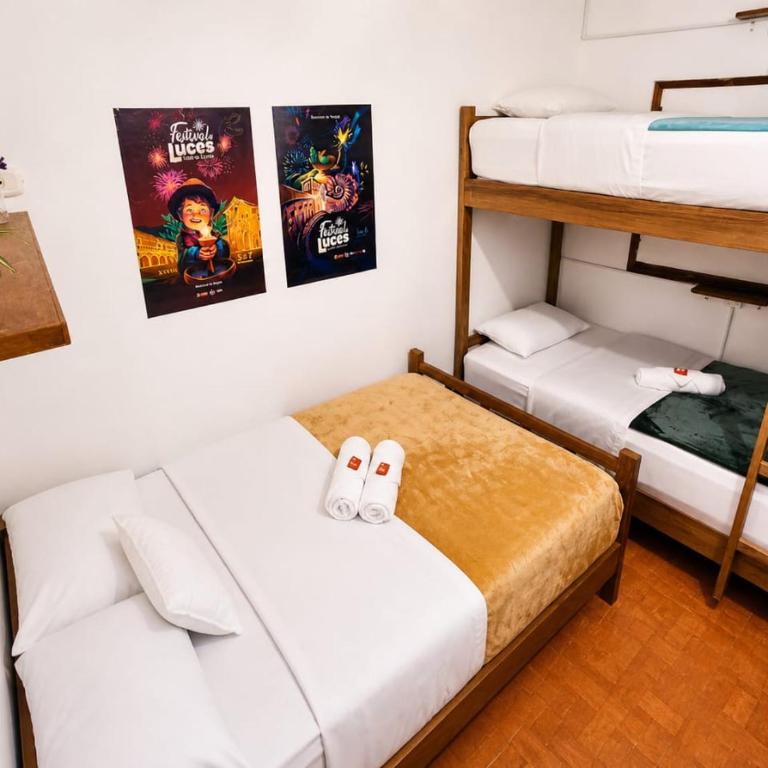 Roomii Hostel - Bunk Bed in Female Dormitory Room - 3