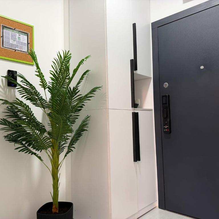 Predsjednički apartman, Djakuzi&Lebdeći krevet, Apollo 11 - One-Bedroom Apartment - 20