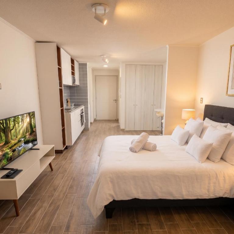 Studio cercano a Movistar Arena y Parque Ohiggins - One-Bedroom Apartment - 1