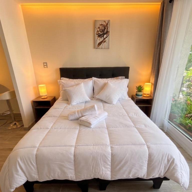 Studio cercano a Movistar Arena y Parque Ohiggins - One-Bedroom Apartment - 11
