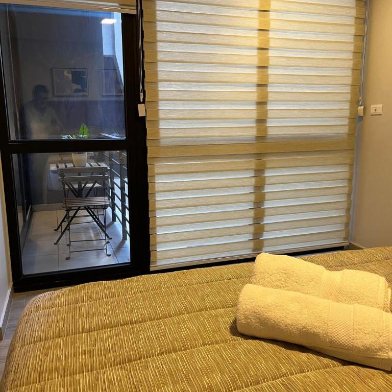 Nuevo y amplio depto con terraza en el centro histórico muy cerca del Metro D215 - Apartamento de 2 dormitorios - 7