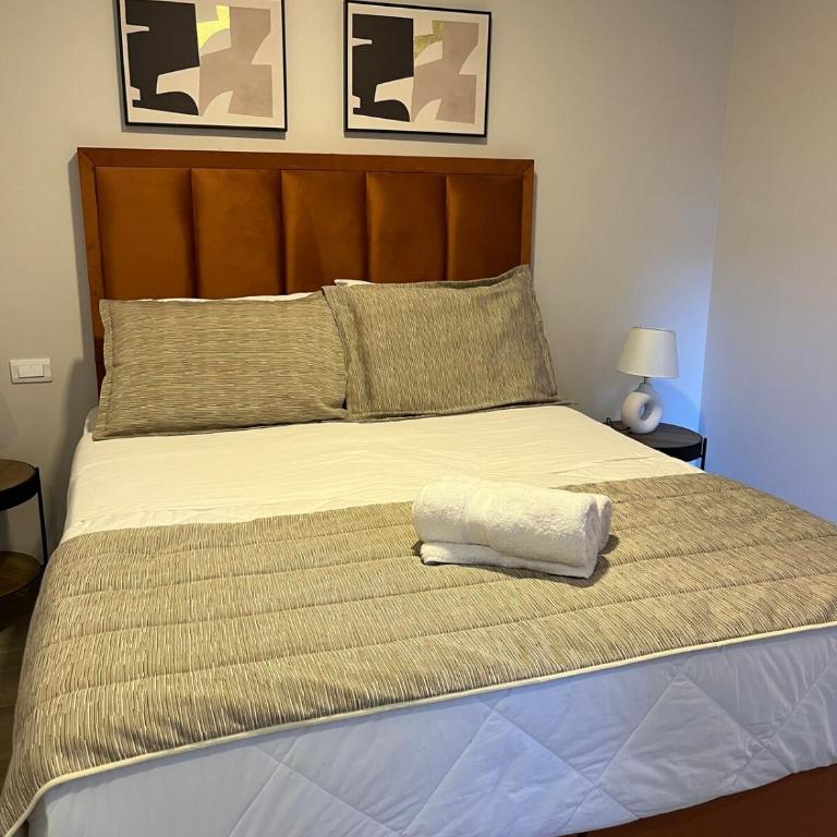 Nuevo y amplio depto con terraza en el centro histórico muy cerca del Metro D215 - Apartamento de 2 dormitorios - 29
