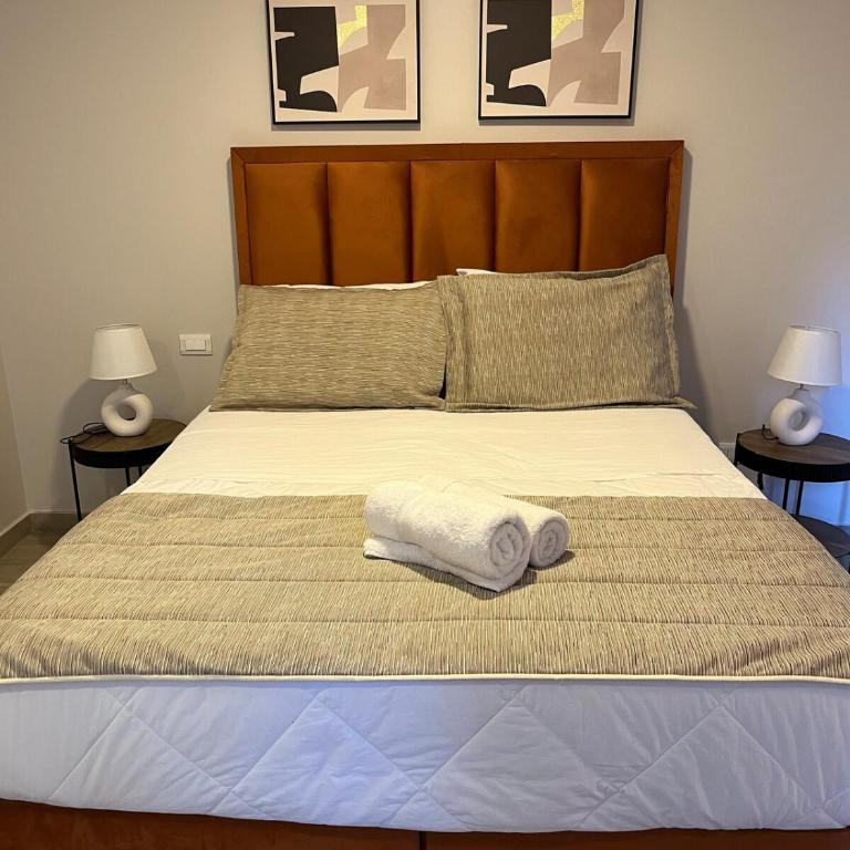 Nuevo y amplio depto con terraza en el centro histórico muy cerca del Metro D215 - Apartamento de 2 dormitorios - 42