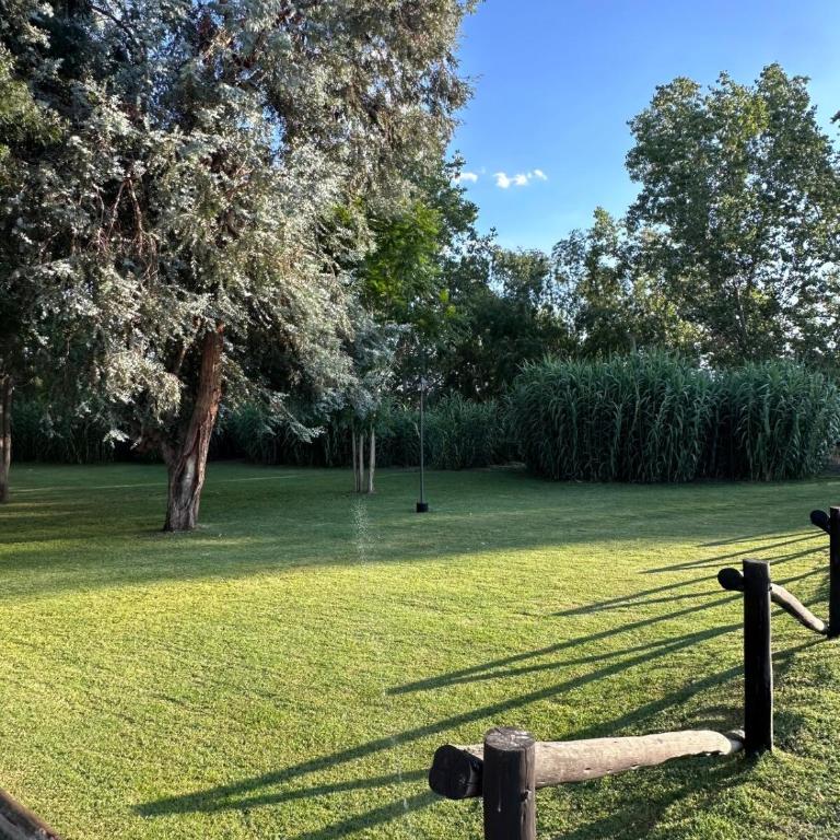 Cabaña con parque en Tupungato - Casa de 2 dormitorios - 10