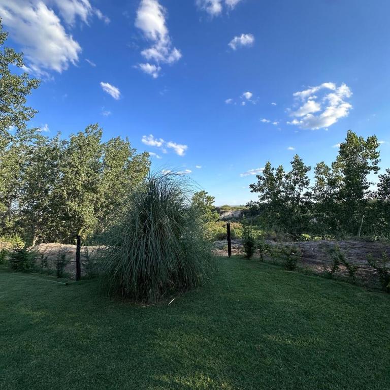 Cabaña con parque en Tupungato - Casa de 2 dormitorios - 15