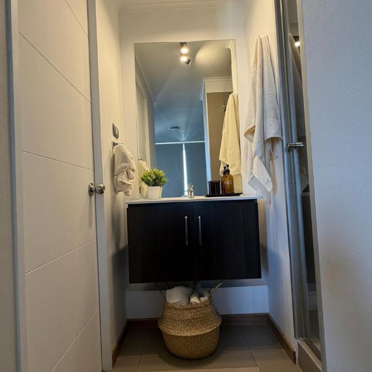 Apartamento en Santiago, Moneda 1617 - Apartamento de 1 dormitorio - 24
