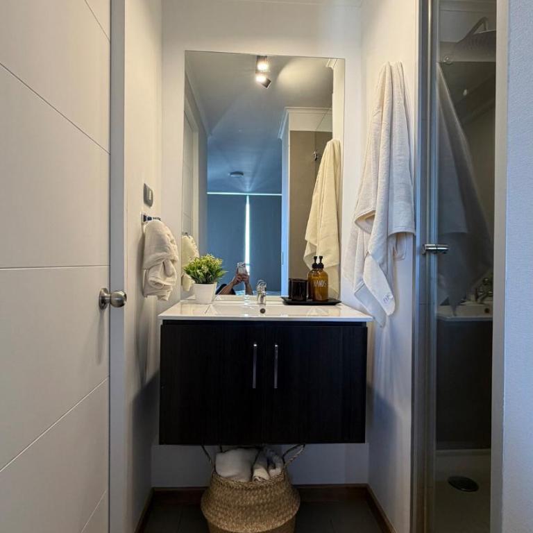 Apartamento en Santiago, Moneda 1617 - Apartamento de 1 dormitorio - 27