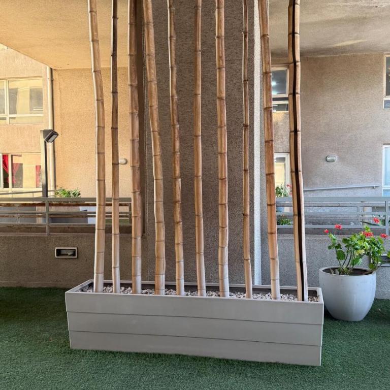 Apartamento en Santiago, Moneda 1617 - Apartamento de 1 dormitorio - 42