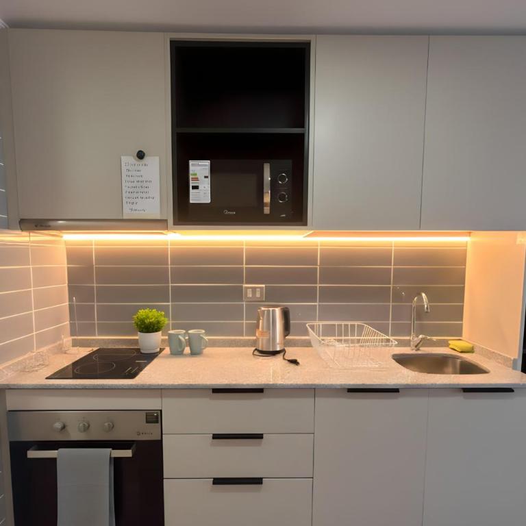 Studio Nuevo I Movistar Arena y Parque Ohiggins - One-Bedroom Apartment - 8