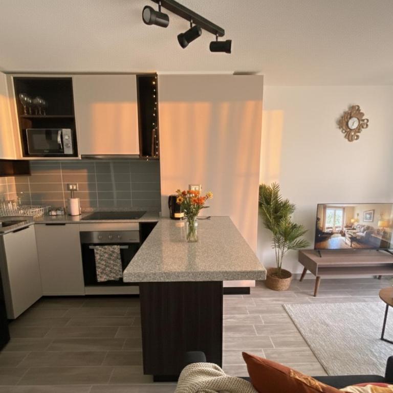 Movistar Arena I 1H1B I Club Hipico - One-Bedroom Apartment - 1