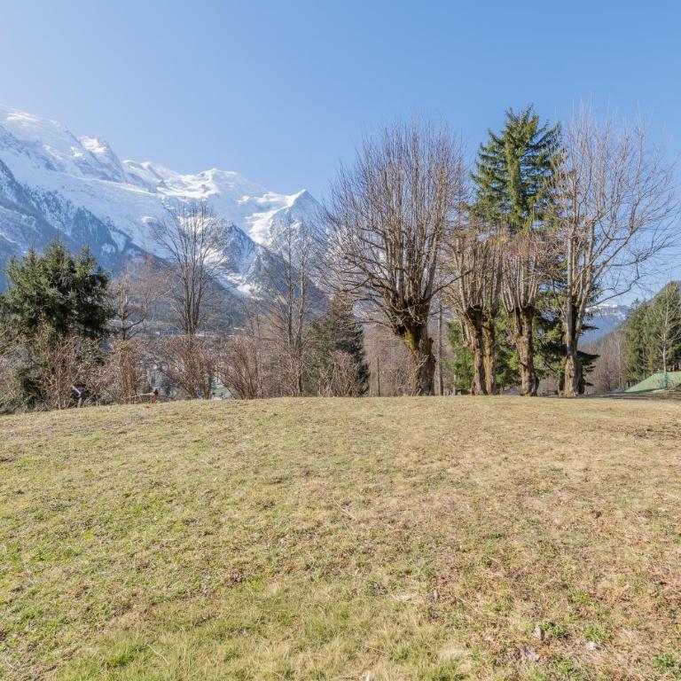 Chalet Les Airelles Mont-Blanc View - Happy Rentals - Chalet - 30