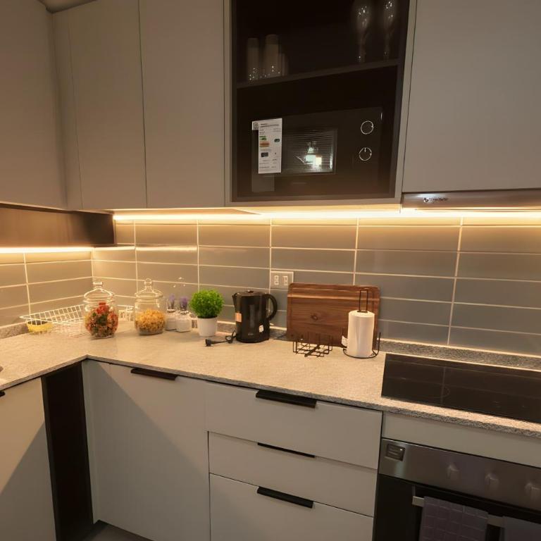 1H1B I Movistar Arena y Parque Ohiggins I Estacionamiento - One-Bedroom Apartment - 1