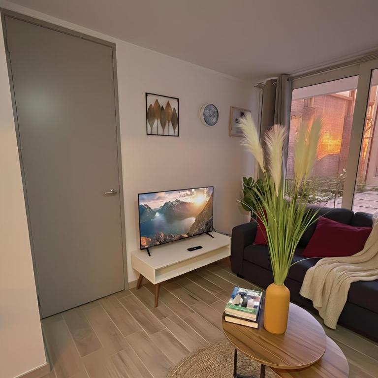 1H1B I Movistar Arena y Parque Ohiggins I Estacionamiento - One-Bedroom Apartment - 4