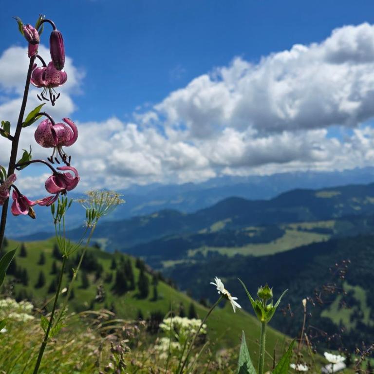 Fewo Gipfelstürmer mit Königscard - Apartment mit 2 Schlafzimmern und Bergblick - 29