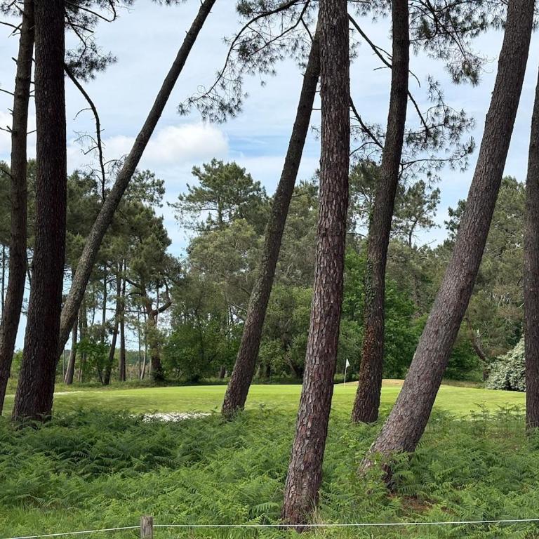 Maison avec vue Golf 8 pers avec Piscine - Villa - 19