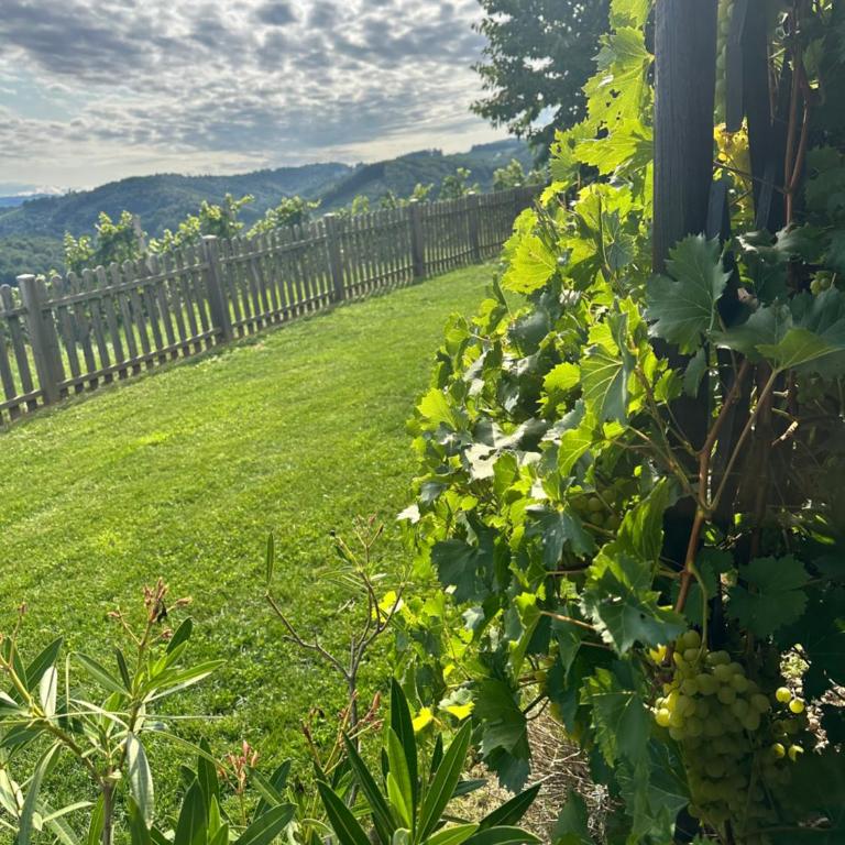 Kranach 5 - Wohnen beim Wein - Casa Vacanze - 89