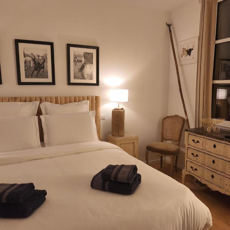 VILLA ADOYA Chambre d'hôtes Aigues-Mortes intra muros au calme climatisation réversible PISCINE WIFI ascenseur PARKING gratuit - Chambre Double - Vue sur Piscine - 3