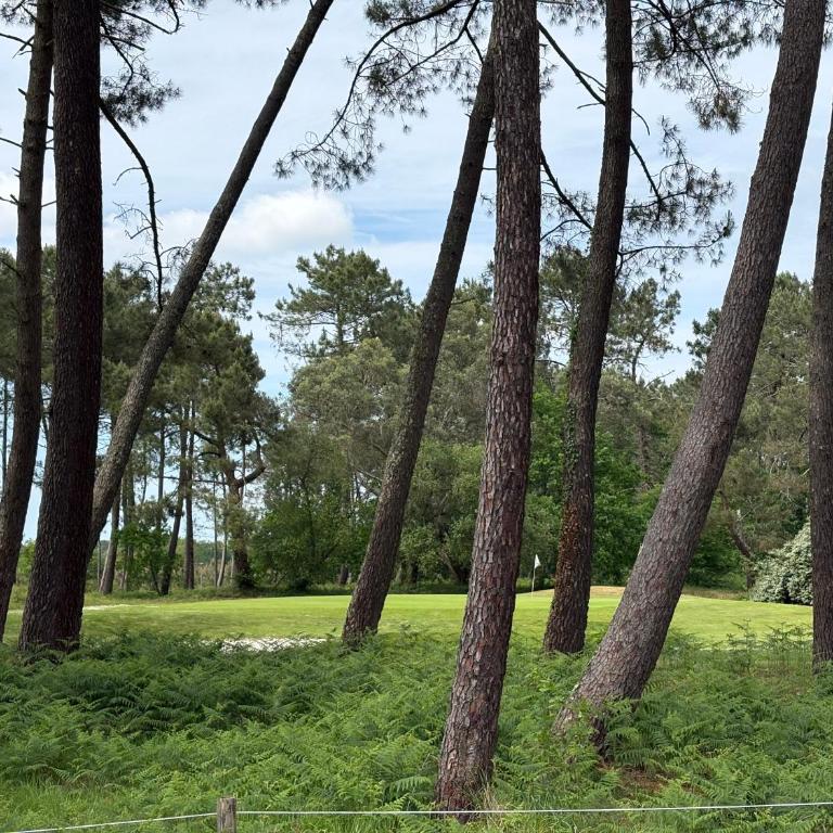 Maison avec vue Golf 8 pers avec Piscine - Villa - 2