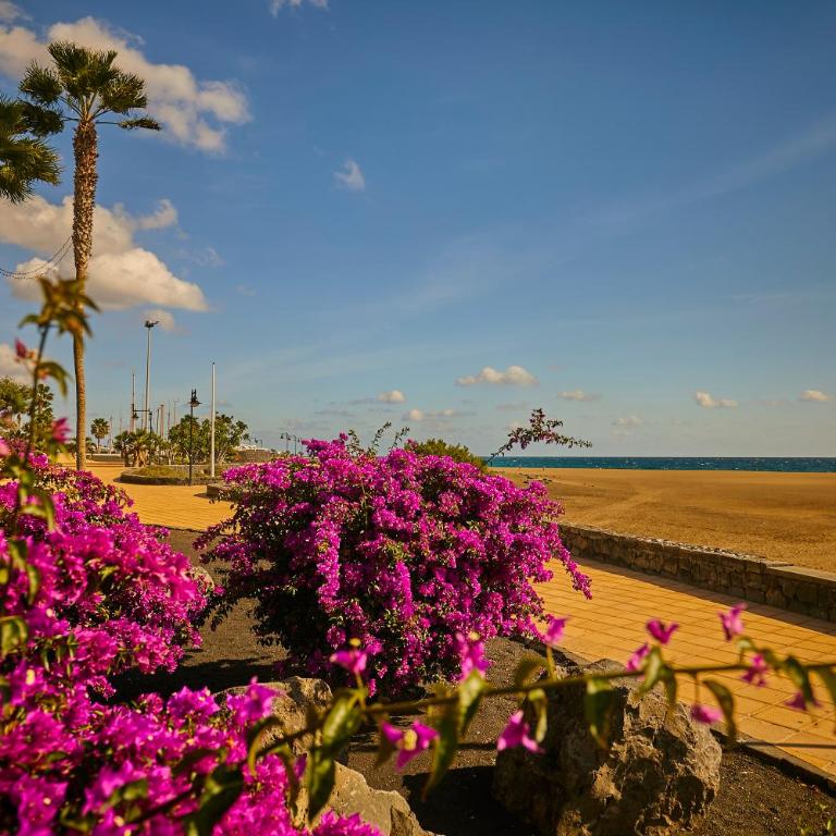 Villa Palmeras Beach Puerto del Carmen - Casa de 2 dormitorios - 16