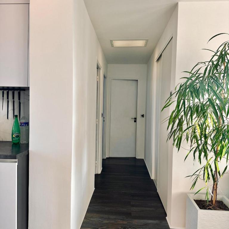 Le Petit Paris - Three-Bedroom Apartment - 7