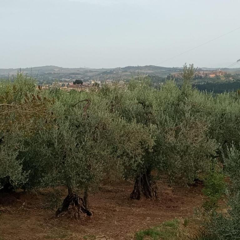 Casa Carolina Vista Lago a San Gimignano - Casa Vacanze con 3 Camere da Letto - 26