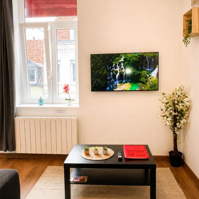 Laundry Loft- Studio1-proche gare centre ville- CNPE - Appartement 1 Chambre - 11