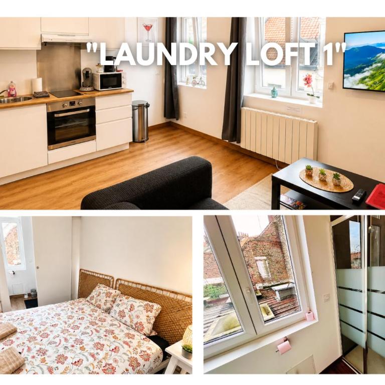 Laundry Loft- Studio1-proche gare centre ville- CNPE - Appartement 1 Chambre - 1