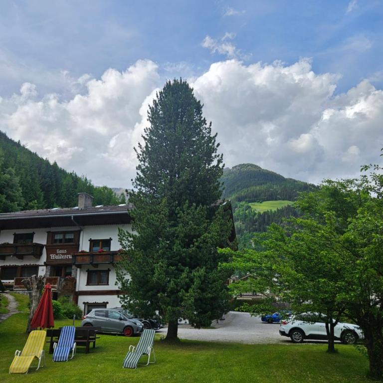 Haus Waldesruh - Studio mit Balkon - 3