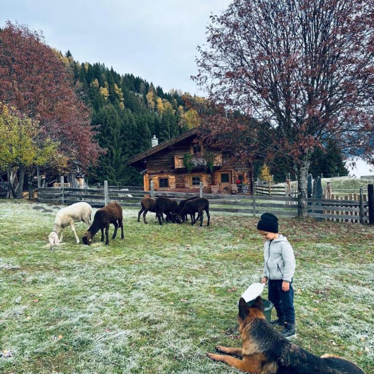 Schröckhütte - Chalet mit 2 Schlafzimmern - 22