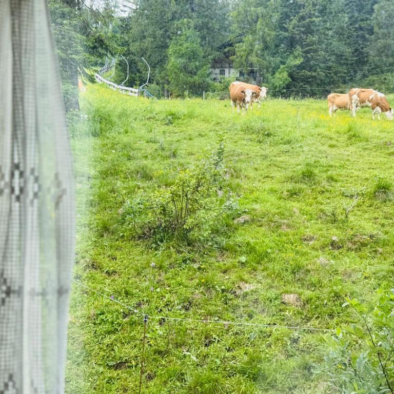 Chalet Heinrich Ski in & Ski out - Apartment Bergblick - Apartment mit 2 Schlafzimmern - 29