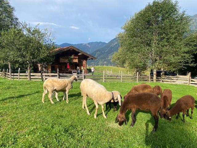 Schröckhütte - Chalet mit 2 Schlafzimmern - 42