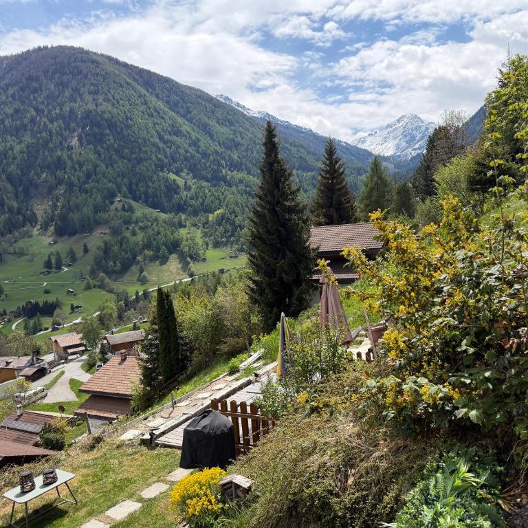 Chalet Opalpin Lodge & Spa, vue montagne et jacuzzi - Chalet - 2