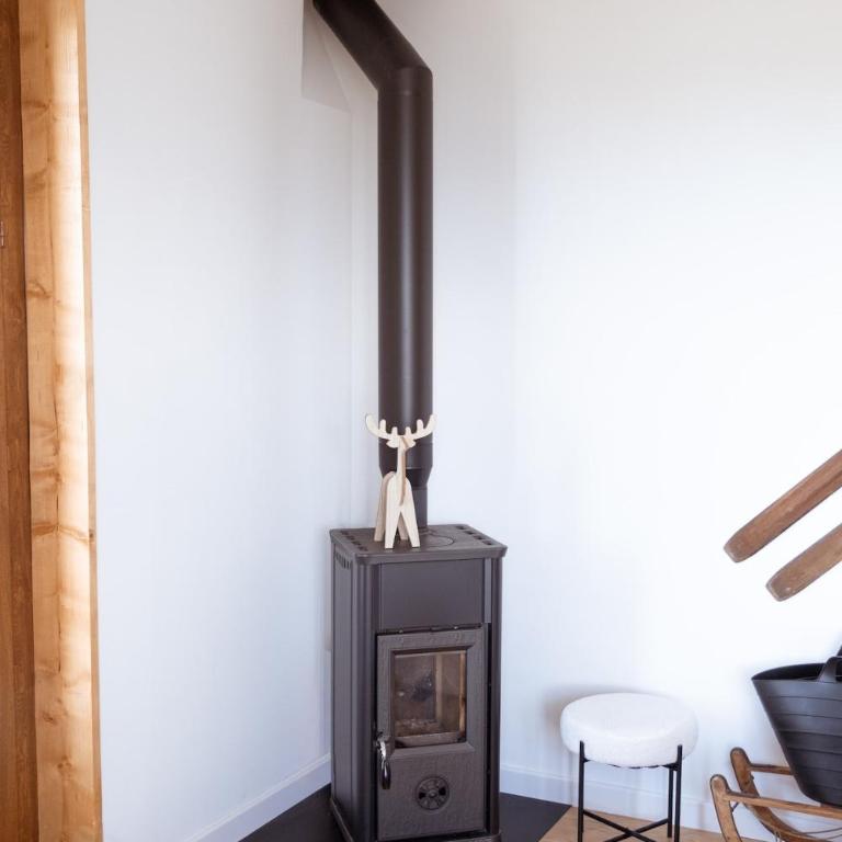 Appartement moderne et spacieux avec poêle à bois et balcon - Appartement - 57